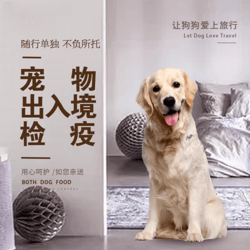 澎湖县宠物托运到哥伦比亚猫狗宠物入境规定和