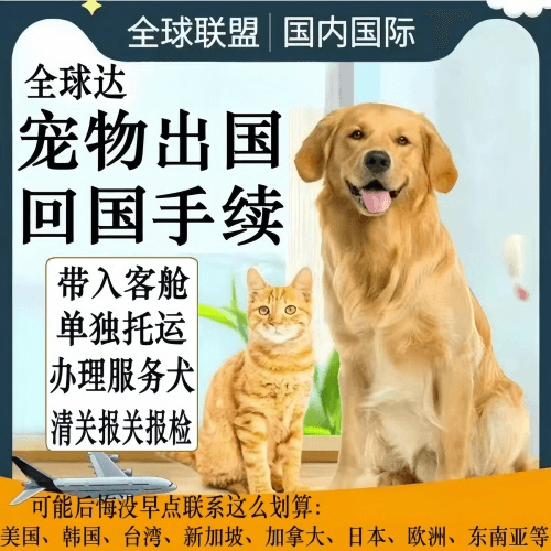 澎湖县宠物托运到柬埔寨宠物入境规定和要求