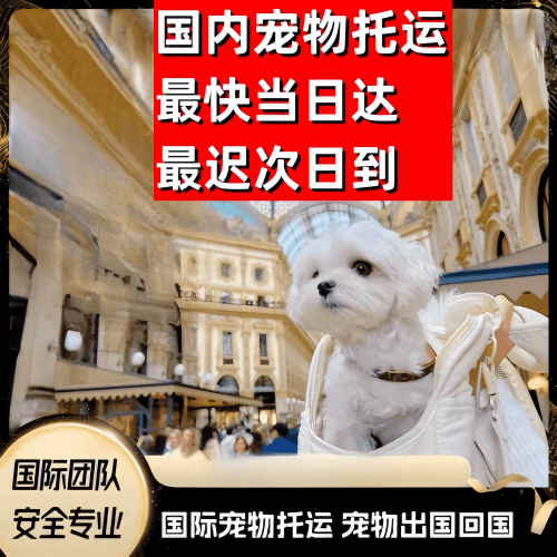澎湖县到澳大利亚（澳洲）宠物入境规定和要求