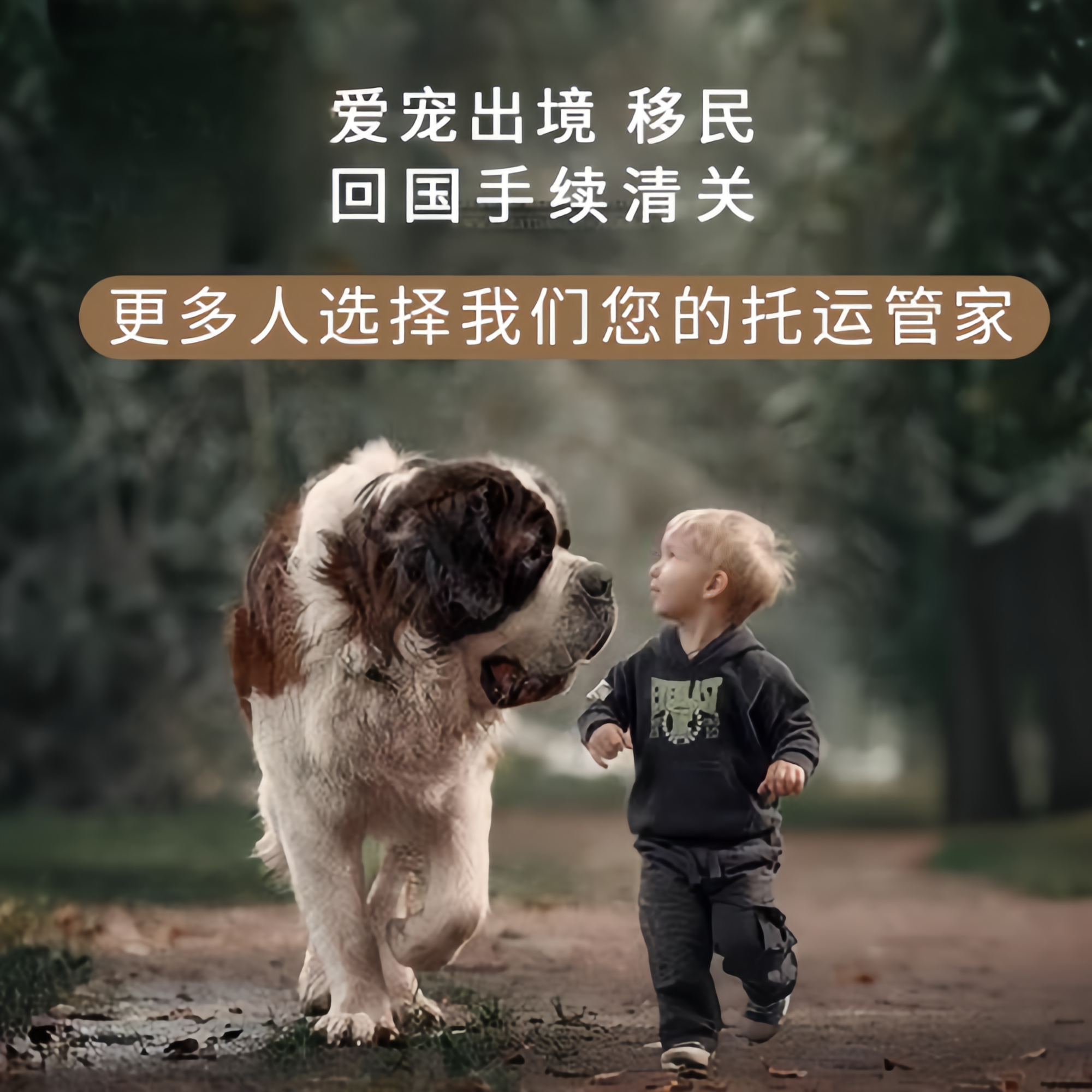 满财澎湖县宠物全球达宠物托运在遵守入境目的地政策的条件