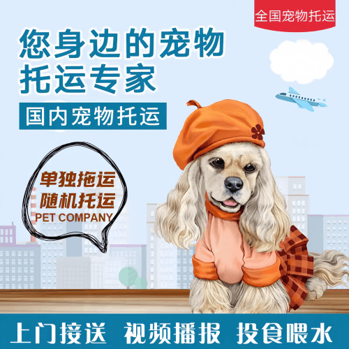 满财澎湖县宠物全球达宠物托运作为专业的宠物运输代理机构